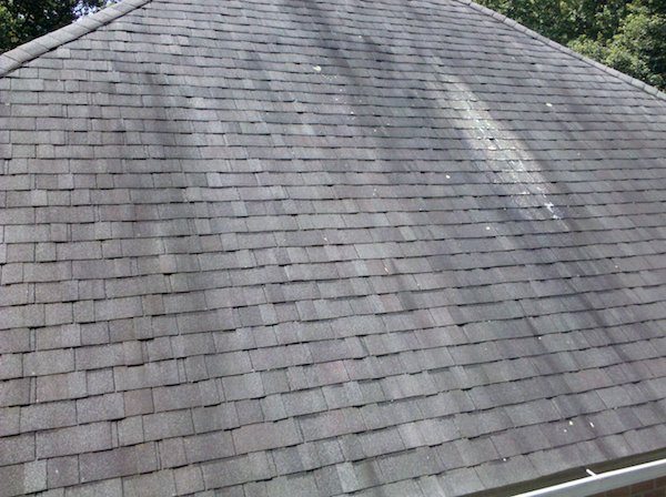 How to Remove and Prevent Roof Algae Growth