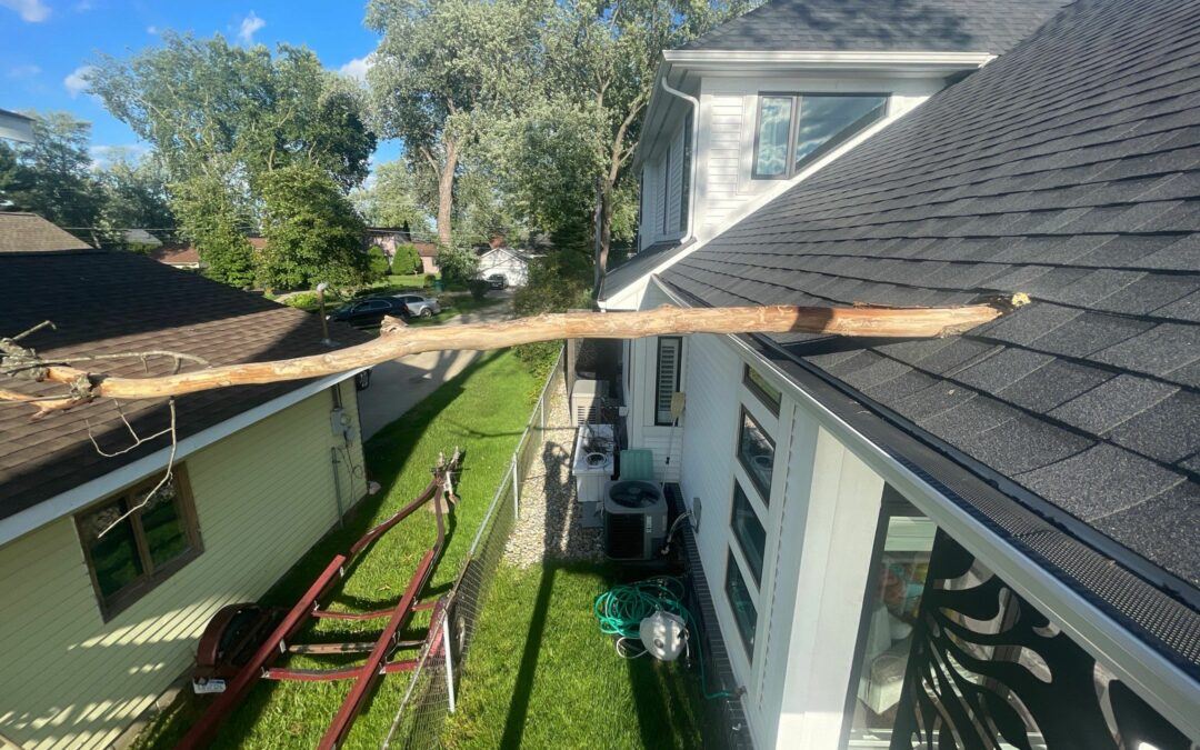 Roof Damage From Trees